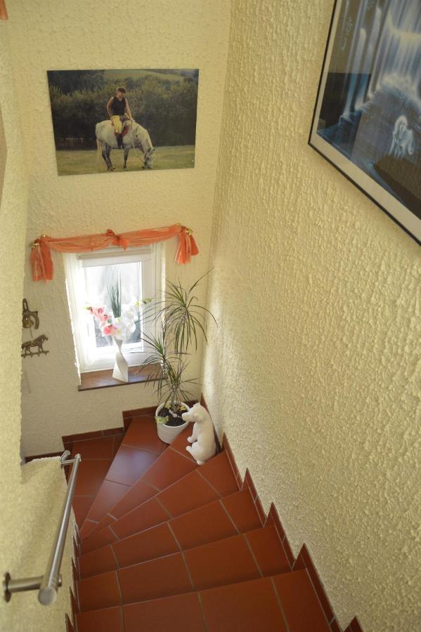 Ferienwohnung Auszeit Waxweiler Bagian luar foto